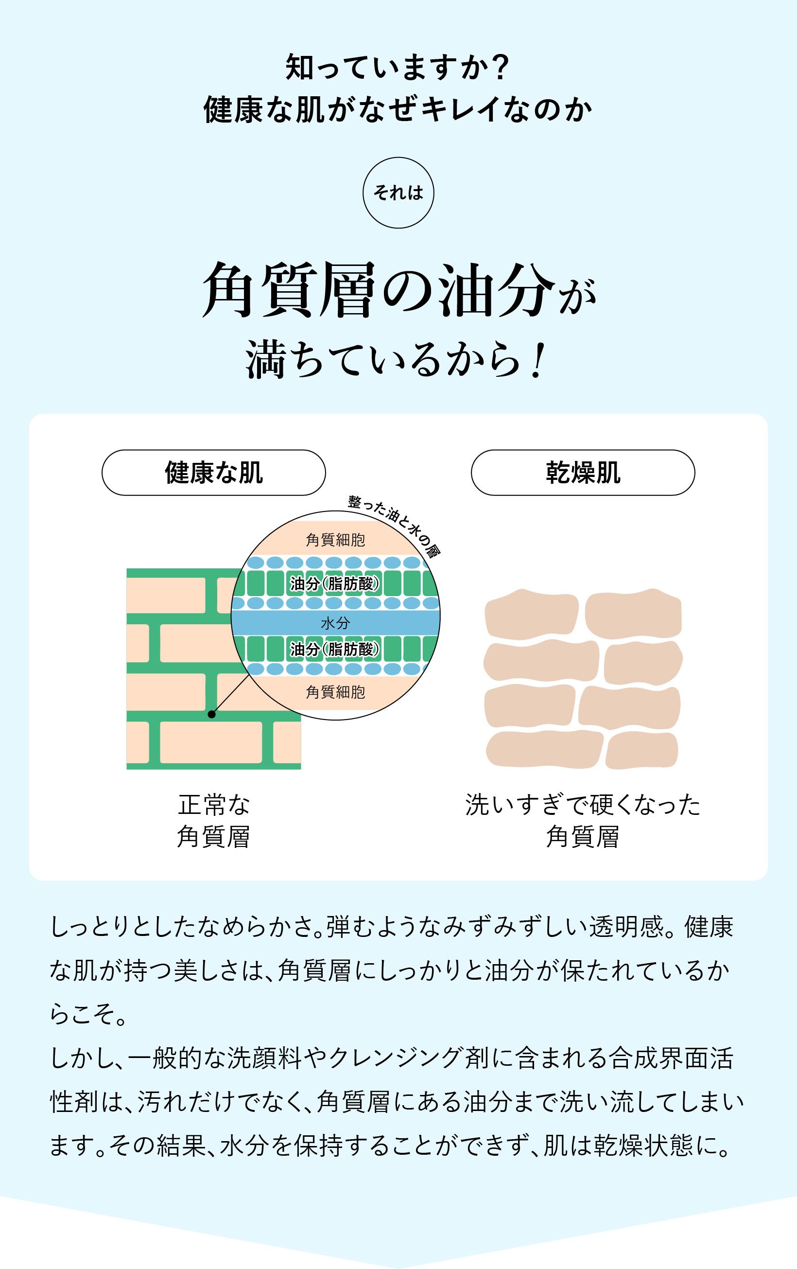 知っていますか？健康な肌がなぜキレイか？
