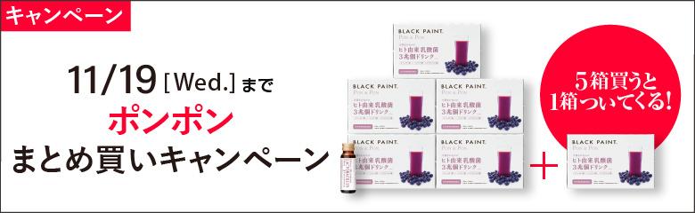 公式】BLACK PAINT. ヒト乳酸菌専門店 WEB SHOP