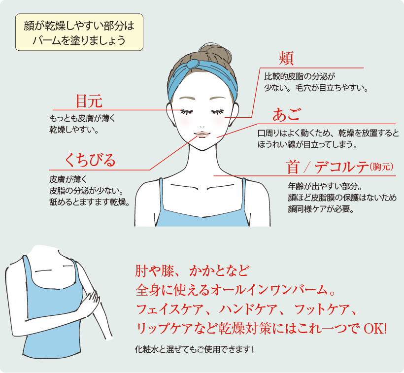 外敵から肌を封じ込める「潤いシールド」の力